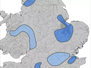 Ebb and Flow case study areas