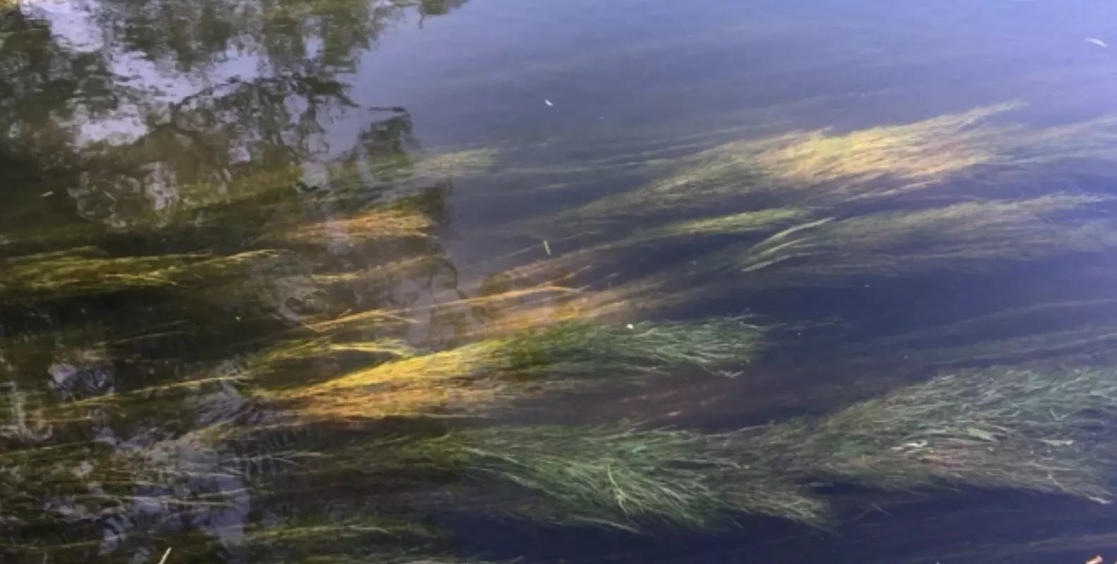 River Avon